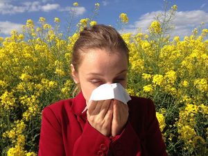 allergic asthma response to allergens
