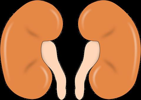 These Symptoms May Signal Kidney Cancer
